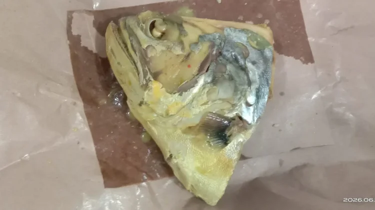 Masakan Padang Kelapa Ikan Menggugah Selera