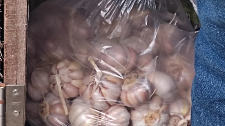 Harga Bawang Putih Merangkak Naik, Ibu Rumah Tangga Mulai Kurangi Pembelian