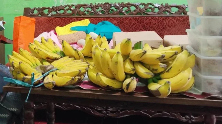 Buah Pisang Tak Lepas dari Budaya Masyarakat Indonesia