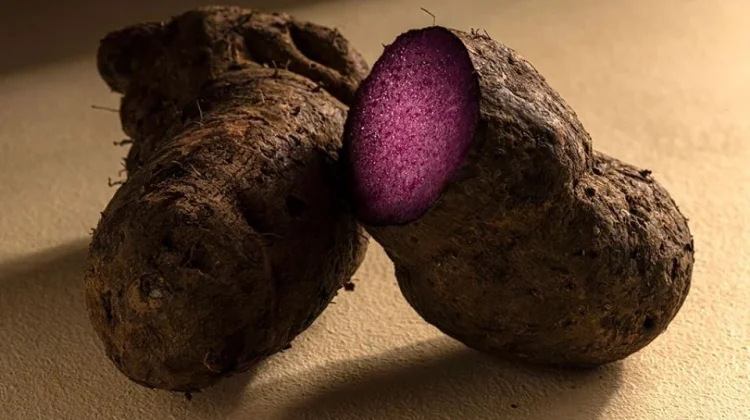 Ube, “Matcha Baru” yang Membawa Identitas Filipina ke Panggung Global