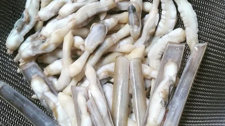 Lorjuk Kian Diminati, Pelaku Kuliner Kenalkan Beragam Kreasi Hidangan