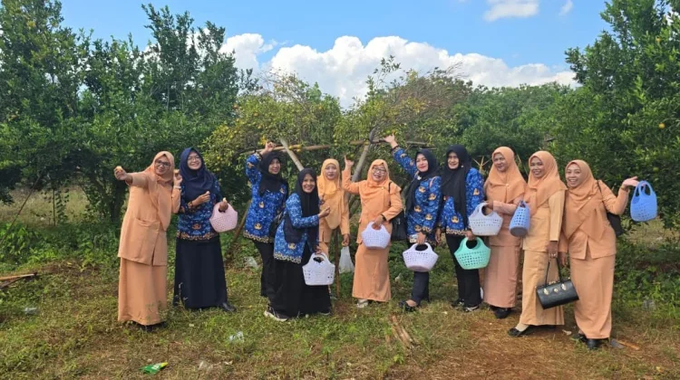 Petik Jeruk Sambil Belajar, DWP Disperkimhub Promosikan Agrowisata Lokal