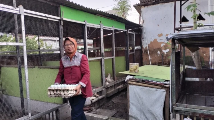 Dari 100 Telur Bebek ke Ribuan Pesanan, Kisah Sukses Bundis Membangun Usaha