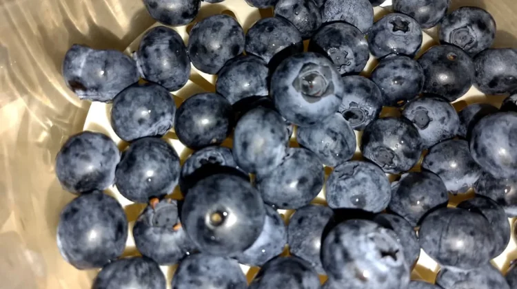 Rahasia Sehat di Balik Blueberry
