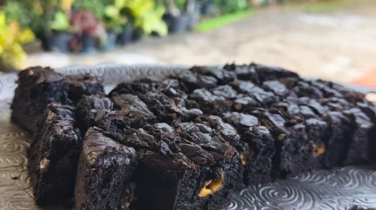 Fudgy Brownies Jadi Pilihan Dessert Rumahan