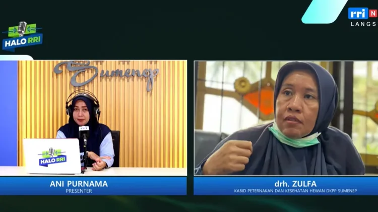 DKPP Tegaskan Tak Ada Bantuan Pakan Ternak, Peternak Diminta Perkuat Manajemen