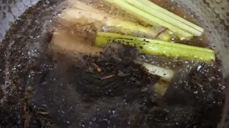 Teh Serai Jadi Minuman Herbal Favorit, Dipercaya Bantu Jaga Daya Tahan Tubuh