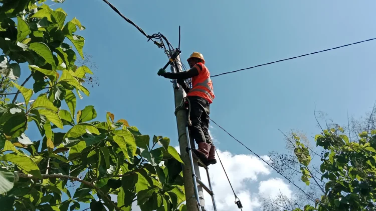 PLN UP3 Madura Sambungkan 22.676 Pelanggan Baru, Jangkau Wilayah Kepulauan
