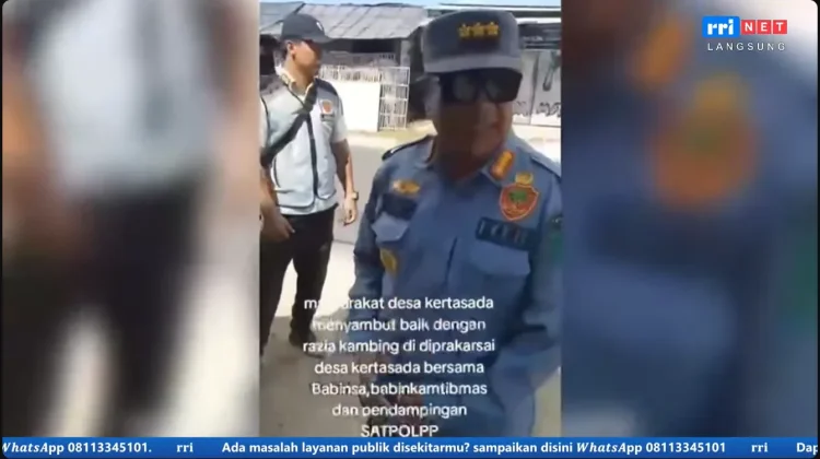 Halo RRI: Aduan Warga Ditindaklanjuti, Satpol PP Tertibkan Kambing Liar Kertasada