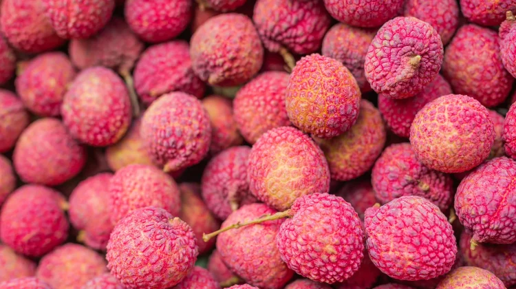 Rahasia Kulit Glowing Alami dengan Manfaat Buah Leci yang Wajib Dicoba