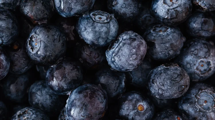 Rahasia Warna Biru Blueberry