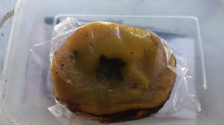 Kue Lumpur Tradisional Masih Bertahan, Menjadi Jajanan Favorit Masyarakat