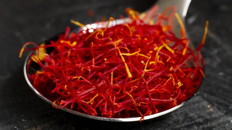 Saffron, Rempah Termahal Dunia yang Gemerlap