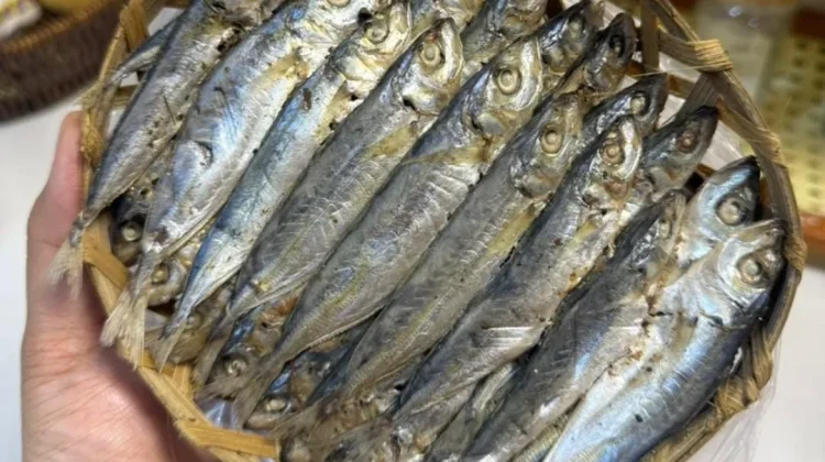 Hasil Tangkapan Menurun, Harga Ikan Pindang Merangkak Naik