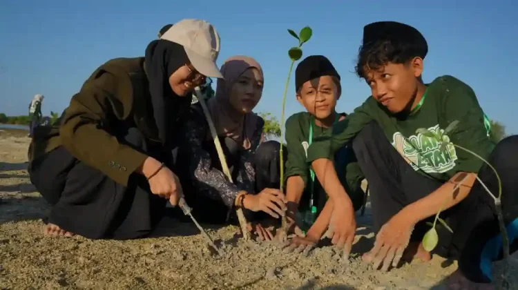 Ribuan Mangrove Ditanam untuk Menjaga Pesisir Kepulauan Sumenep