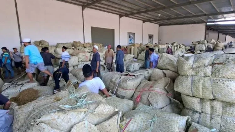Petani Tembakau Harap Pengambilan Sampel Tidak Berlebihan