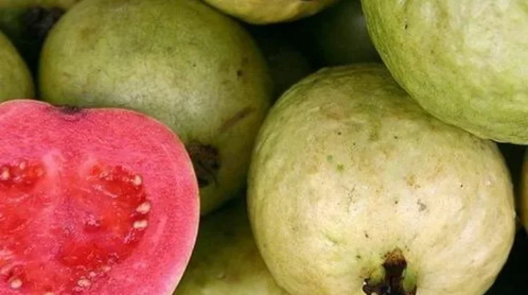 Makan Langsung atau Jus, Mana Cara Terbaik Menikmati Jambu Biji Merah?