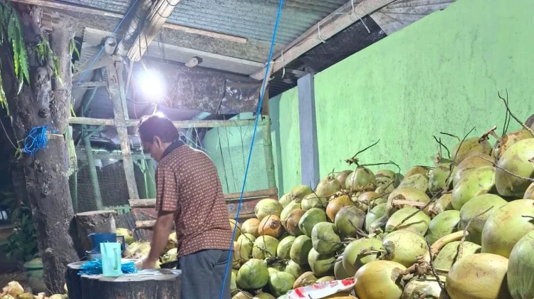 Kelapa Degan Masih Diminati, Jadi Pilihan Pelepas Dahaga
