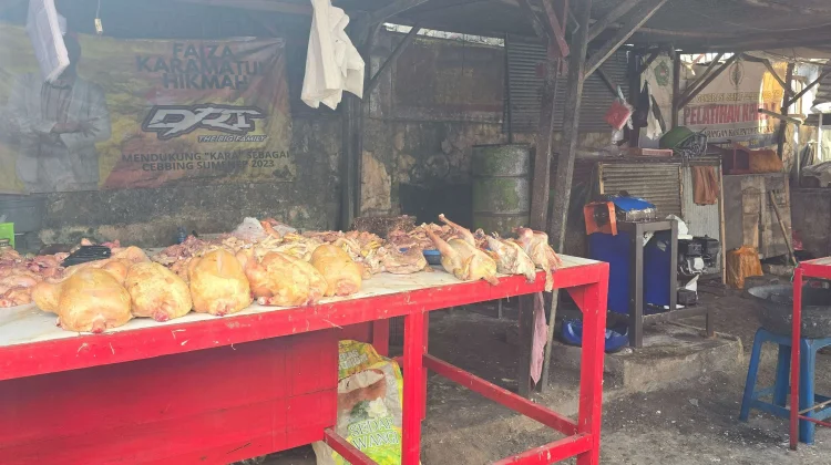 Harga Ayam Potong di Sumenep Melonjak ke Rp44 Ribu