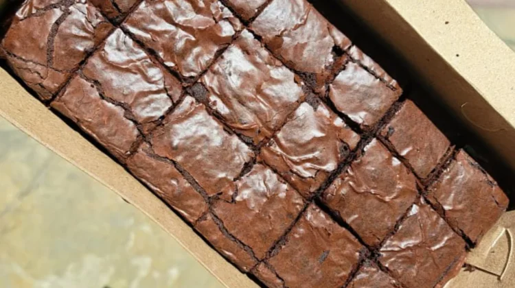 Fudgy Brownies, Camilan Cokelat Lembut yang Menggugah Selera