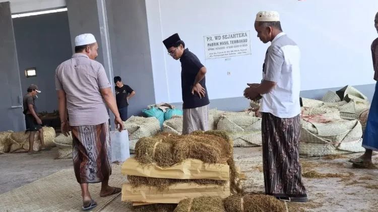 Pengawasan Tembakau Sumenep Diperkuat, Harga dan Timbangan Jadi Fokus