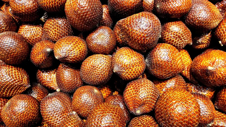Manfaat Buah Salak, Buah Tropis Kaya Nutrisi