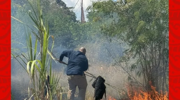Kebakaran Lahan di Samping Kantor RRI Sumenep, Api Berhasil Dipadamkan
