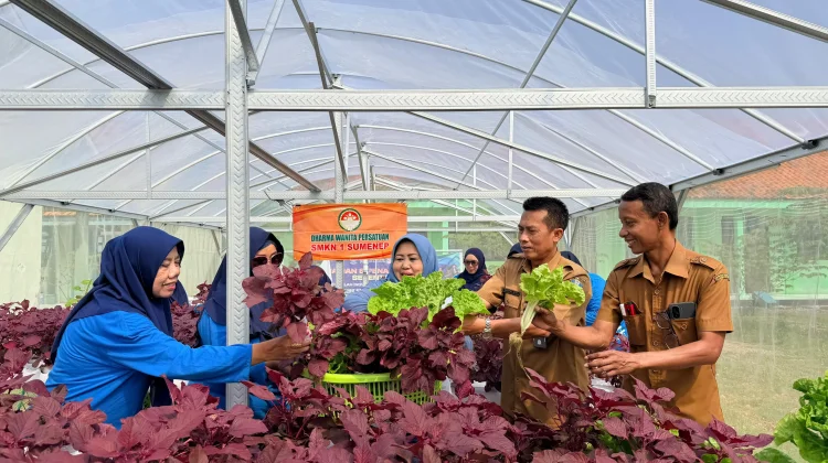 Pertanian Hidroponik dan Budidaya Ikan Jadi Pilihan Sekolah di Sumenep