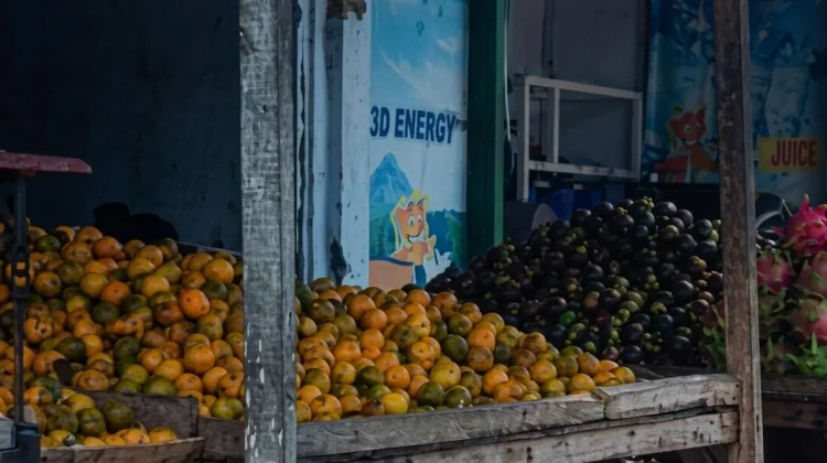 Harga Jeruk Melonjak di Momentum Maulid