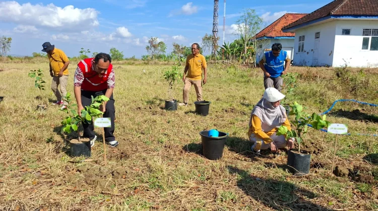 RRI Sumenep Kolaborasi dengan Sejumlah Pihak Tanam Pohon di Kawasan Pemancar
