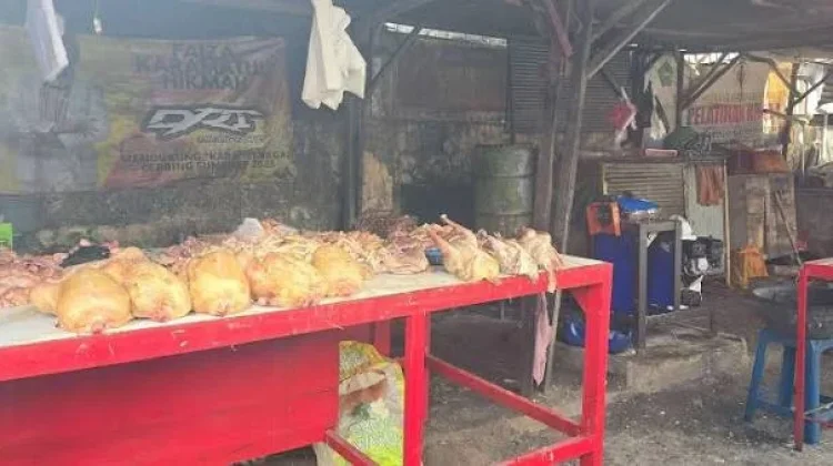 Bulan Maulid, Harga Daging Ayam Capai Rp50 Ribu