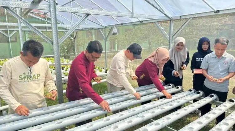 SMKN 1 Sumenep Kembangkan Program SIKAP Melalui Pertanian dan Perikanan