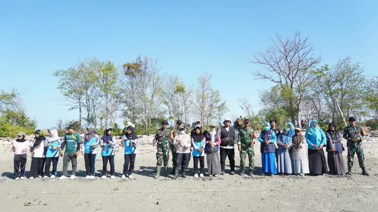 Jaga Ekosistem Pesisir Talango, Arasa dan Telkom Tanam Mangrove