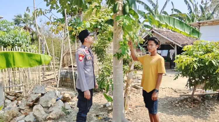 Polsek Batuputih Monitoring Pekarangan Pangan Bergizi di Larangan Kerta