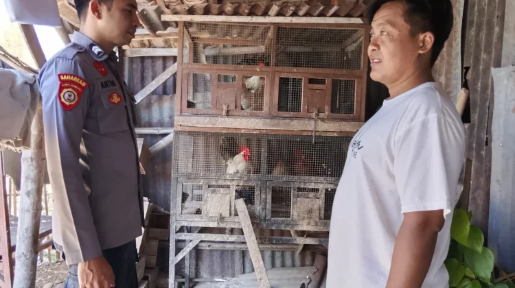 Polsek Batuputih Cek Ternak Dukung Ketahanan Pangan