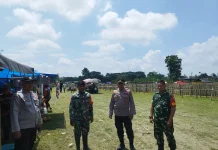 Polsek Batuputih Kawal Tradisi Karapan Sapi
