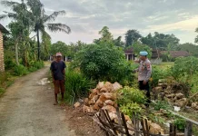 Polsek Batuputih Dukung Program Pekarangan Pangan Bergizi