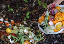 Yuk! Diet Sampah di Bulan Ramadan