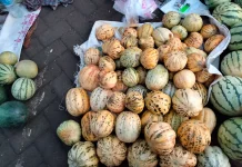 Harga Buah Blewah di Sumenep Merangkak Naik Awal Ramadan