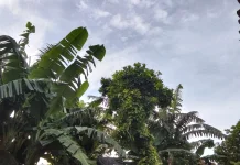 Prakiraan Cuaca Kalianget 23 Februari