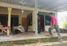 Satgas TMMD Kebut Pengecatan RTLH di Mandala
