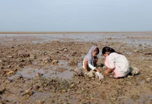 Pesona Ngabuburit di Pantai Pekandangan Sangra Bluto Sumenep
