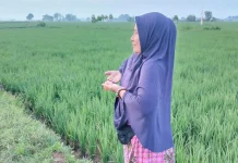 Jalan Kaki di Pedesaan Tingkatkan Imun Tubuh