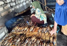 Berkah Ramadhan, Ikan Tongkol Segar Melimpah