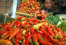 Harga Cabai Rawit di Sumenep Turun Menjadi Rp 95 Ribu Rupiah