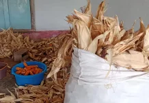Mengenal Manfaat Kulit Jagung atau Klobot