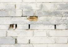 Bakteri Jadi 'Tukang Bangunan' di Bulan