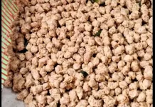 Kacang Kribo, Camilan Lezat Hanya Modal Ribuan