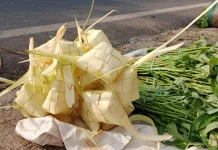 Ketupat Berselongsong Daun Siwalan, Aromanya Lebih Menggoda