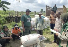 Panen Petani Terjamin, BPP Lenteng bersama Bulog Gelar Sergab di Tiga Desa